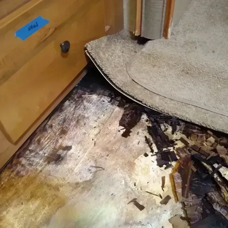 Wood Floor Water Damage in Harrison, TN